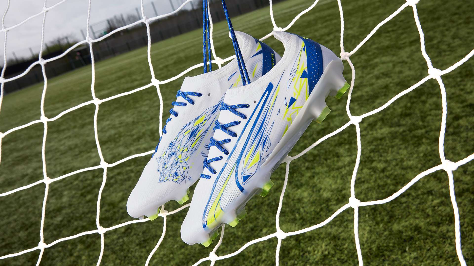 不仅局限于 不仅局限于